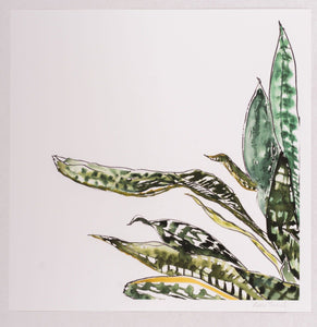 Katie French Perez Snake Plant Art Print (no. 2)
