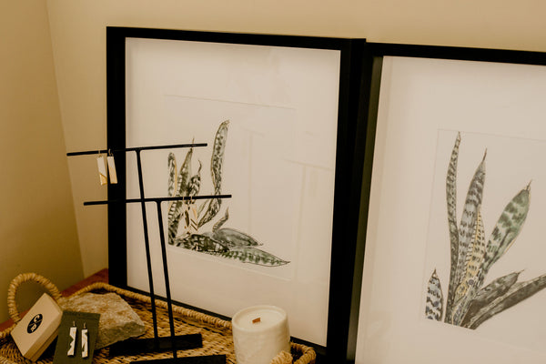 Katie French Perez Snake Plant Art Print (no. 1)